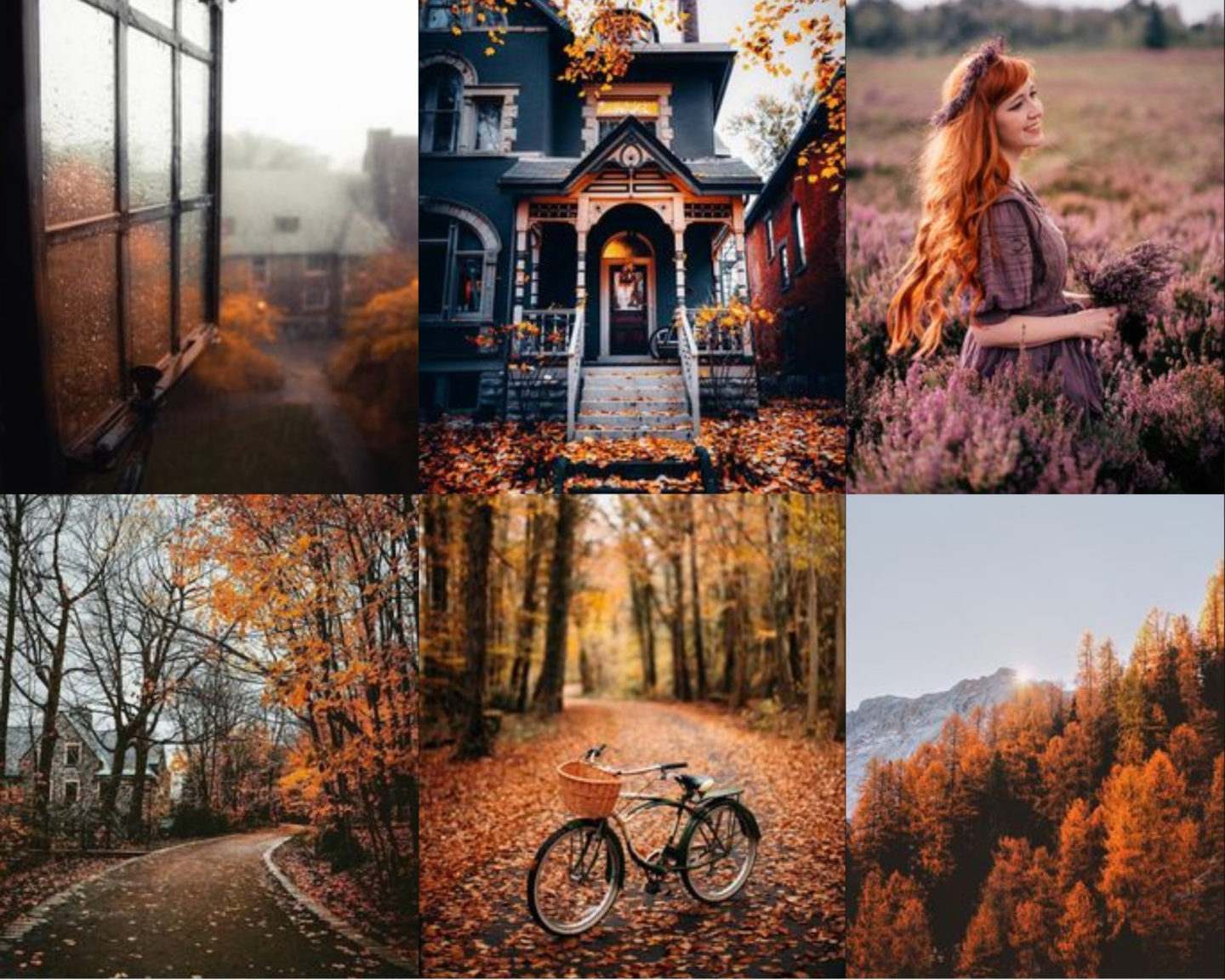 Capturing the Aesthetics of the Fall Season : The Palette of Autumn 1 - Fab  Mood