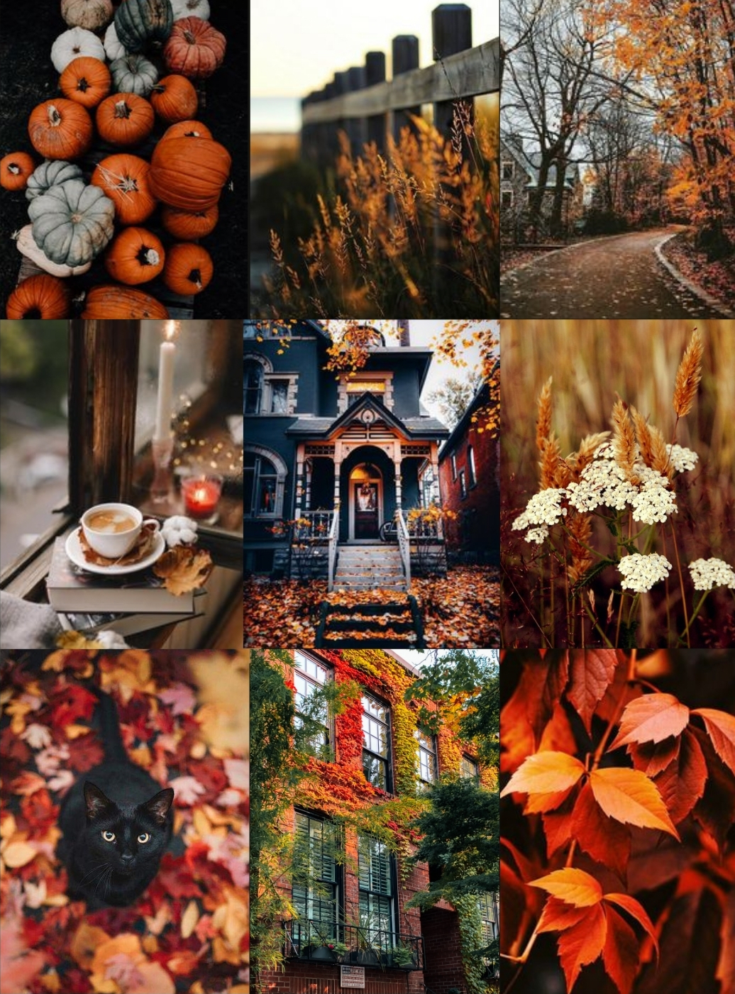 Autumn Moodboard – rosie darch